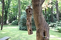 VBS_1516 - Castello di Miradolo - Mostra Oltre il giardino l'Abbecedario di paolo Pejrone